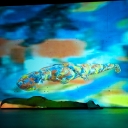 8. The dancer against a projected backdrop