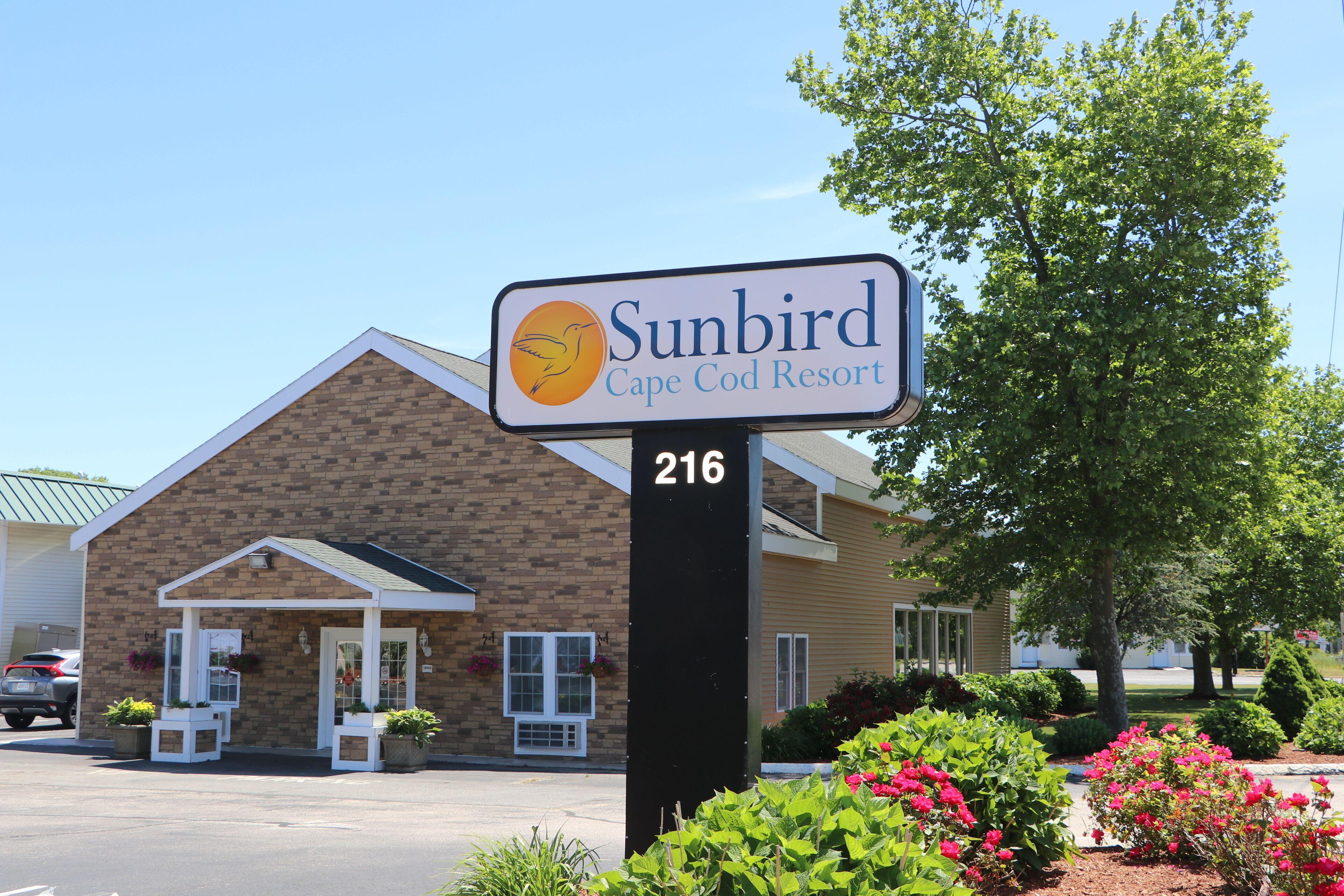 15 Budget Hotels Near Seagull Beach Worth Booking