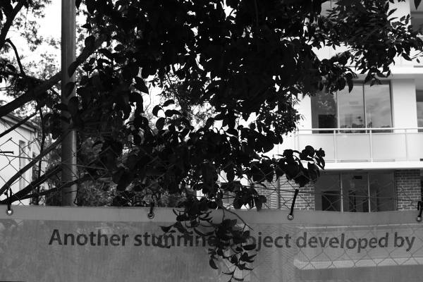 Development. Photo © 2011 Alan Miller.